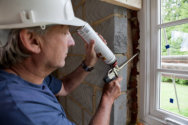 Best Types of Insulation in Picnic Point, WA